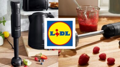 batidoras brazo lidl