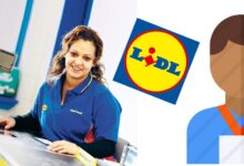 Nuevas ofertas de empleo en Lidl en noviembre